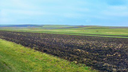 Caucasus. A strip of plowed field on a sunny day.