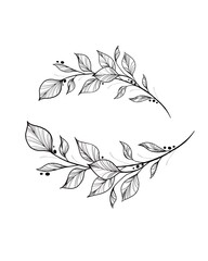 botany tattoo sketch - beautiful twig plant. Botanical element template for graphic design, wedding decor, textiles, souvenir gift, stationery print