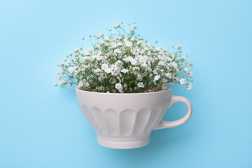 Beautiful gypsophila in white cup on light blue background, top view