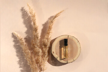 Glass perfume sample with transparent brown liquid on wooden tray or disk lying on beige background with pampas grass. Luxury and natural cosmetics presentation. Tester on woodcut in sunlight. Flatlay
