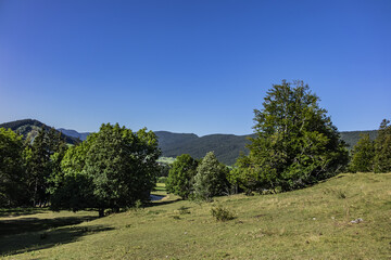 Vercors Regional Natural Park located on Vercors Plateau some 10 km west of Grenoble. Autrans,...