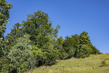 Vercors Regional Natural Park located on Vercors Plateau some 10 km west of Grenoble. Autrans,...