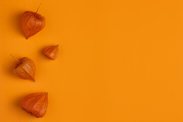 Ripe physalis berries on an orange background. View from above. Place for text and inscriptions.