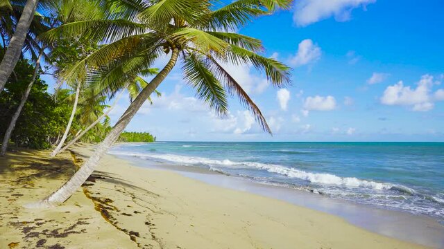Bright summer day on the sea beach with palm trees. White sand and turquoise sea waves against the blue sky. Beautiful seascape of the peninsula in the Dominican Republic.