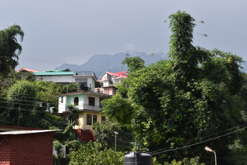 Fototapeta na wymiar A view of beautiful houses in Palampur, Himachal Pradesh, India.
