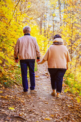 Fototapeta premium Cute middle-aged couple of loving people walking in the forest holding hands, sunny autumn day
