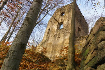 Ruiny zamku w lesie jesień 2