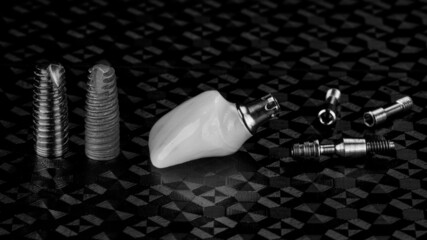 Demo Dental Implant and Real Dental Implant with Ceramic Koronoma, photo in black white style