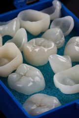Macro Composition from Dental Crown Kit in Blue Case