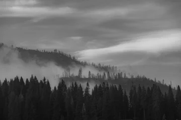 Papier Peint photo Lavable Forêt dans le brouillard Montagnes brumeuses