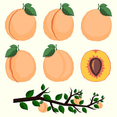 Peaches broken lines