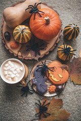 Flat lay for halloween party pumpkin and spiders top view