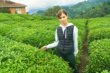 Woman inspects the tea fields and selects best teas by examining tea leaves. Organic farming in the...