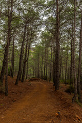 Adrasan Bay and Suluada in the blue and green of the Mediterranean