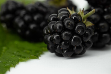 Blackberry with leaves islolated on a white background