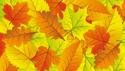 Naklejka na ściany i meble Autumn leaves background, vector illustration. Different colored dry leaves, full frame. Copy space.