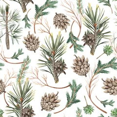 Papier peint photo Motifs harmonieux à l& 39 image de branches d& 39 épinette et décor de Noël. Images aquarelles dessinées à la main