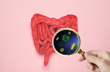 Microorganisms research. Woman with magnifying glass and paper intestine cutout on pink background,...