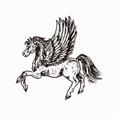 Pegasus, hand drawn doodle sketch, ink drawing illustration - 466590115