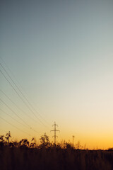 Fototapeta premium Beautiful autumn field with grass and wildflowers on background of electricity tower with power lines in sunset sky. Wild grass and herbs in fall meadow in evening sunlight. Tranquility