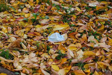 Medical mask lying on the ground, thrown on the ground with yellowed autumn leaves