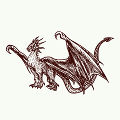 Dragon standing, hand drawn doodle sketch, ink drawing illustration