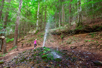 Geyser fountain of cold water in the summer forest. Mountain Kopaonik, Serbia.