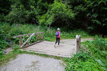 Adventure in summer green forest. Child passing over old wooden bridge over stream. Beautiful day in nature.