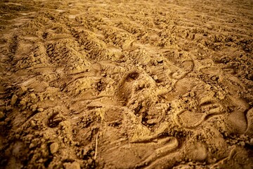 tracks in sand