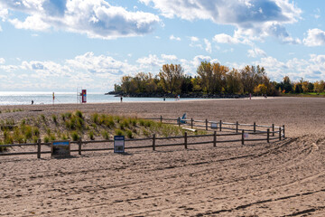 A fenced of part of a beach park designed to let nature reclaim a section of the lake shore.    Shot in Toronto’s iconic Beaches neighbourhood in the fall.