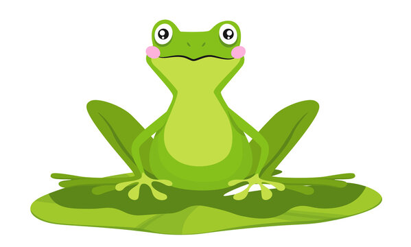 Funny Frog Sit on Water Lily Leaf Isolated on White Background. Cute Toad Living on Pond, Fairy Tale Cartoon Character