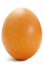 Close up of one egg
