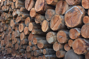 Lumber Mill 5