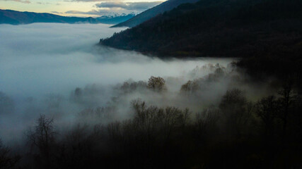 River of fog