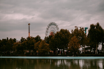 ferris wheel at the park