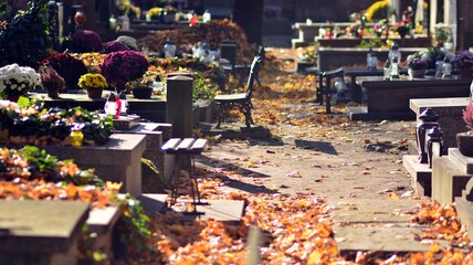 Historic cemetery. Tombstones and trees at the old cemetery. All Saints Day. © Grand Warszawski