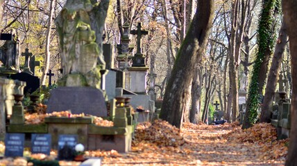 Historic cemetery. Tombstones and trees at the old cemetery. All Saints Day.