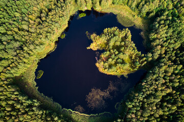 A view from a great height to a beautiful lake in the middle of a green forest, a lake on the site...