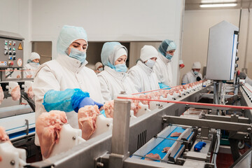 Line for the production of semi-finished meat products.Factory for the production of food from...