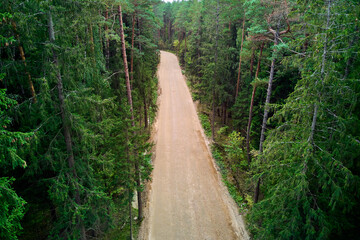 Dirt road in a dark coniferous forest, view from a low height
