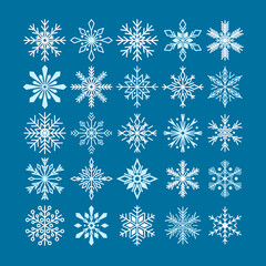 Fototapeta na wymiar Set Various Snowflakes Isolated Icons. Christmas Snow Flakes, Xmas Design Elements, Falling Snow, Magic White Snowfall