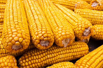 Dry corn cob background closeup. Agriculture, farming concept. 