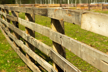 Wooden fence on the farm. A hedge of boards in summer.