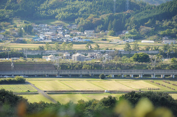 田んぼの中の新幹線