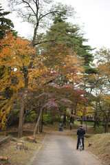 秋の公園