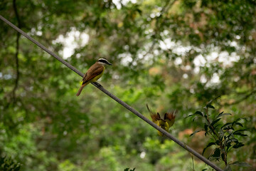 Naturaleza Antioquia
