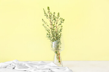 Vase with green eucalyptus branches on table near color wall