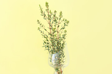 Obraz premium Vase with green eucalyptus branches on color background