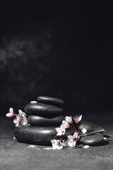 Stack of spa stones and blossoming branches on dark background