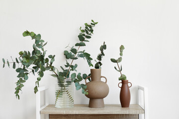 Vases with green eucalyptus branches on shelf near white wall